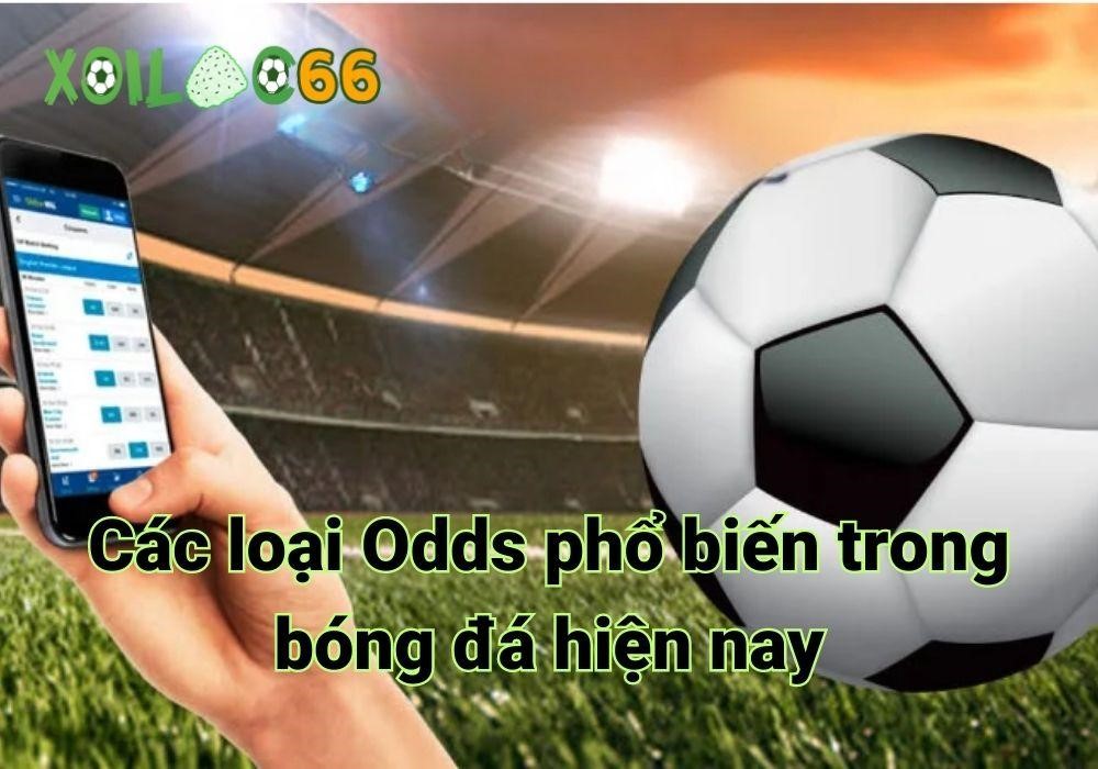 Các loại Odds phổ biến trong bóng đá