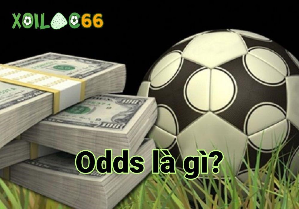 Odds là gì?