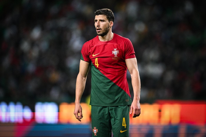 Thành tích sự nghiệp của Ruben Dias